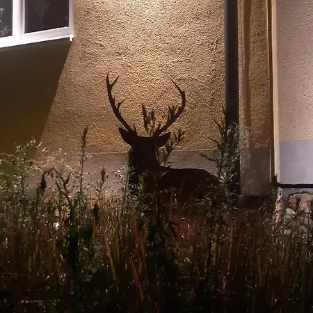 فندق Castellberg هيترشيم