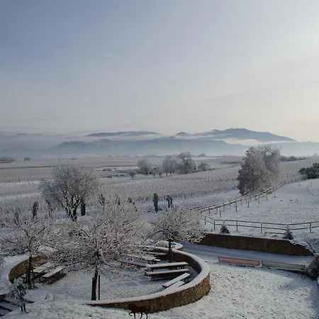 Szálloda Castellberg Heitersheim