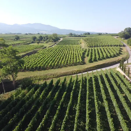 Castellberg Отель