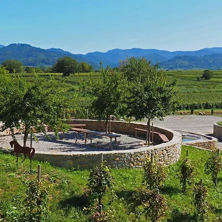 Castellberg Heitersheim