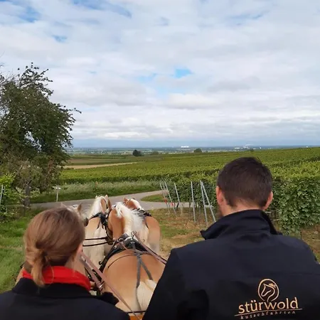 Szálloda Castellberg