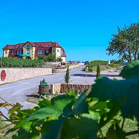 Hotel Castellberg *