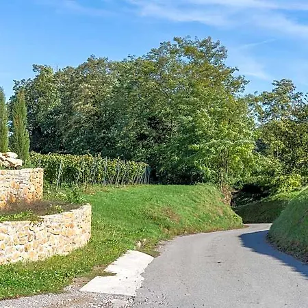 Castellberg *