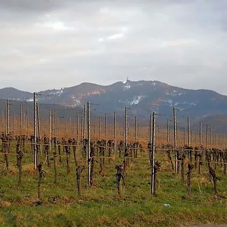 Castellberg *