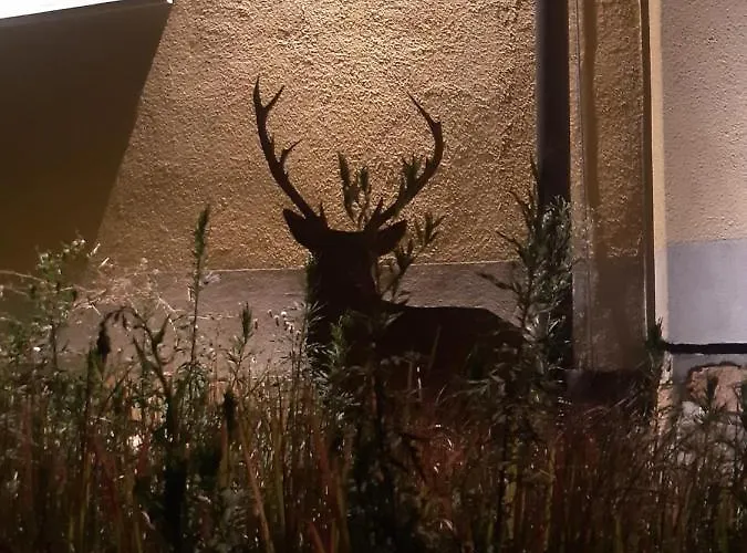 ホテル Castellberg ハイタースハイム