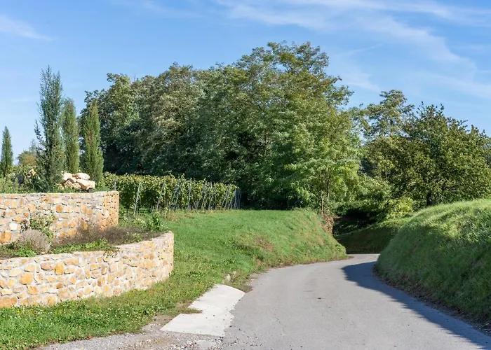 ホテル Castellberg ハイタースハイム