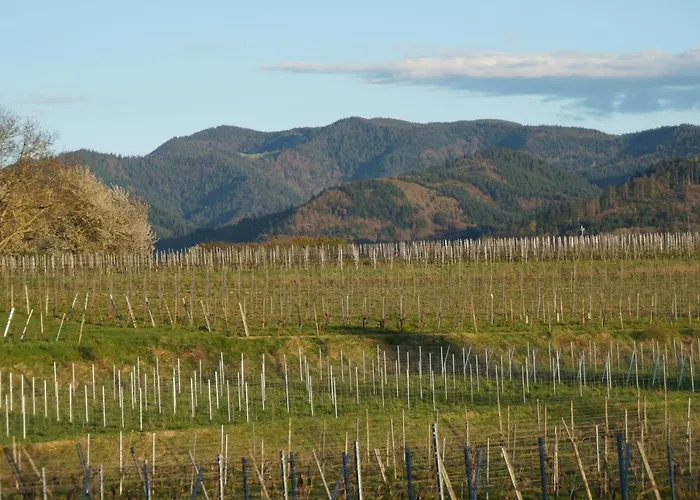 Castellberg ホテル