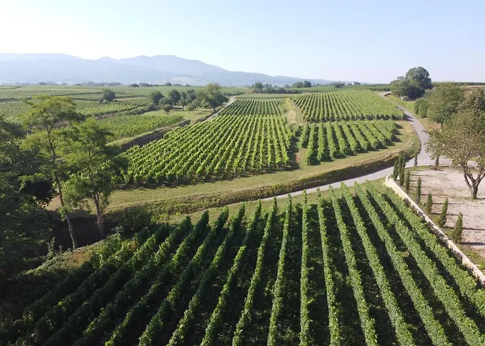 Castellberg ホテル